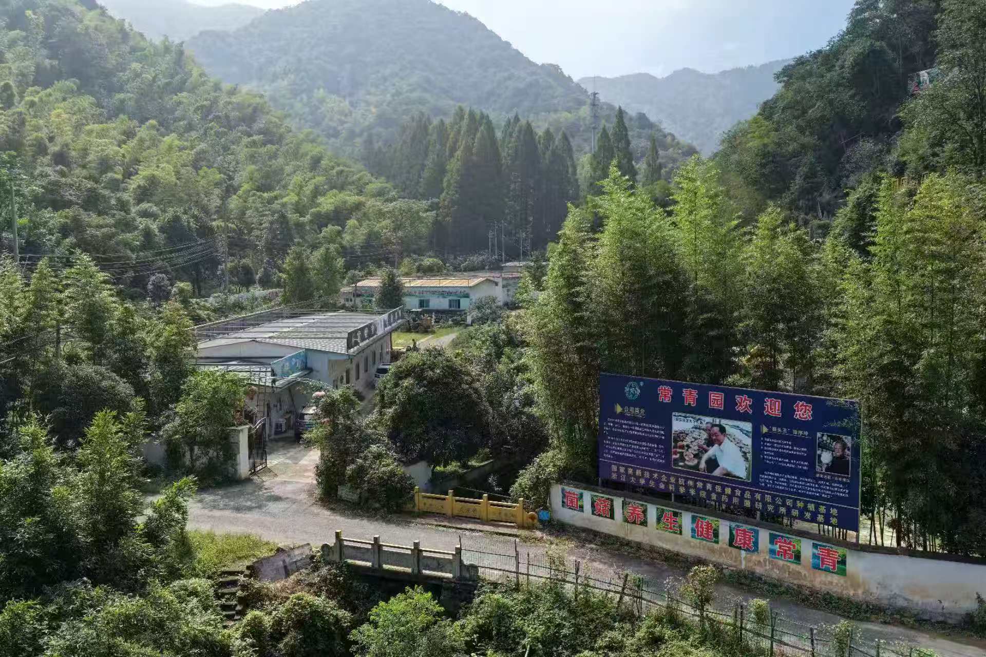 常青园基地照片