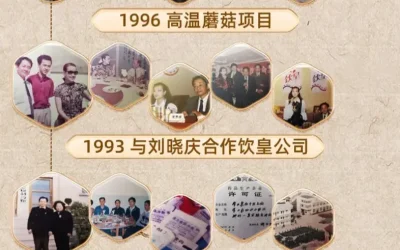 20年苦心研究1979-2022年 溯源常青 | 守心破局续新篇:杭州常青2020-2026年的责任、创新与传承