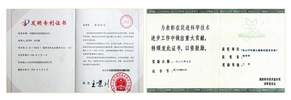 专利+科技进步三等将