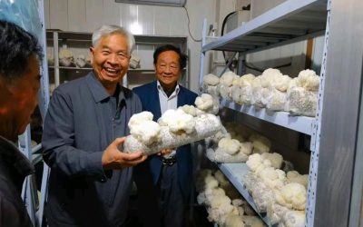 [华夏文化-当代人文]大咖云集云栖花果山!共探“菌菇奇迹”，致敬84岁科研泰斗。