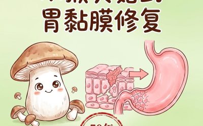 从一朵猴头菇到胃黏膜的修复之旅：被50年临床验证的「养胃真相」
