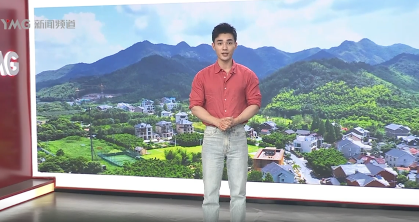 藏在余杭深山的仙草 聚宝灵芝