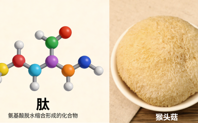 肽×猴头菇：为什么猴头菇多肽是肠胃的”天选修复工”？