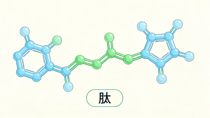 小分子肽怎么选？看这6点就够了