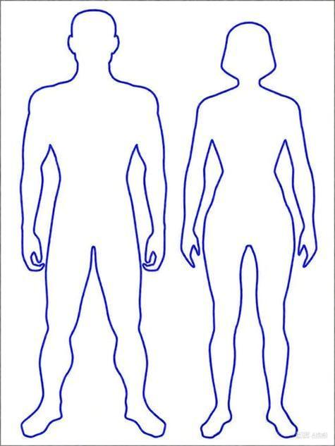 【生殖泌尿系统】肽与前列腺、肾脏健康